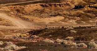 官方：格列兹曼荣膺2025金足奖